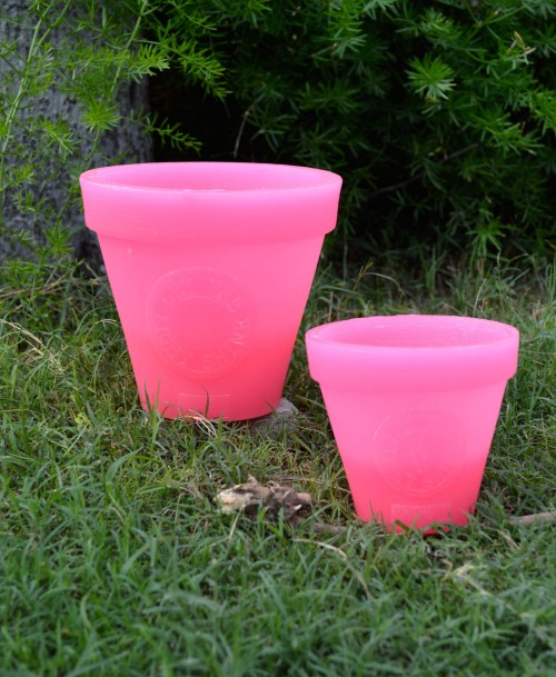 Let the light shine (pink)